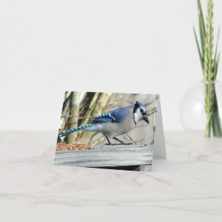 Carte toute l'occasion