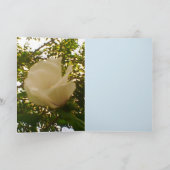 Carte Toute Occasion Rose blanche (Intérieur)