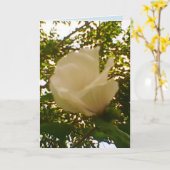 Carte Toute Occasion Rose blanche (Fleur jaune)