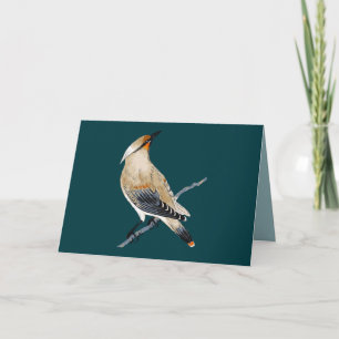 CARTE TOUTE OCCASION WAXWING BLANK