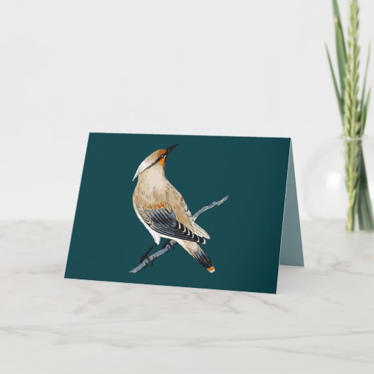 CARTE TOUTE OCCASION WAXWING BLANK (Devant)