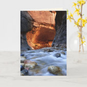 Carte Toutes Les Occasions, Les Étroits, Parc National Z (Fleur jaune)