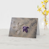 Carte Traces Starfish (Fleur jaune)