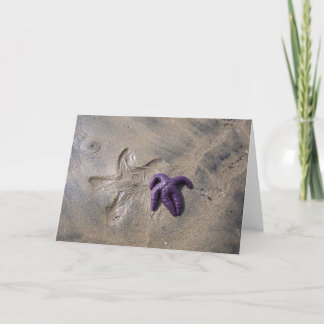 Carte Traces Starfish