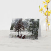 Carte Tracteur à neige (Fleur jaune)