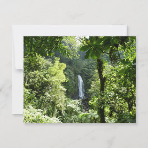 Carte Trafalgar Falls Tropical Rainforest Photographie
