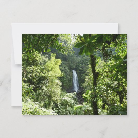 Carte Trafalgar Falls Tropical Rainforest Photographie (Devant)