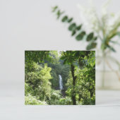 Carte Trafalgar Falls Tropical Rainforest Photographie (Debout devant)
