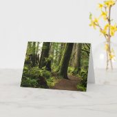 Carte Trail Among Giants (Fleur jaune)