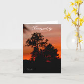 Carte Tranquillité coucher de soleil Pine arbres Note Ca (Fleur jaune)