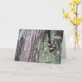 Carte Tree (Fleur jaune)