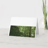 Carte Tree du Kentucky (Dos)