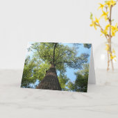 Carte Tree du Kentucky (Fleur jaune)