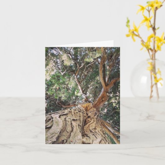 Carte Tree German Birthday (Fleur jaune)