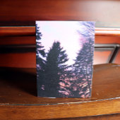 Carte Tree Shadows Forest Hues