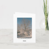 Carte Trees et Snow Notecards (Dos)