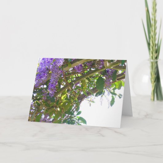 Carte Treillis royal (Devant)