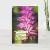 Carte Très jolie fleur de plante allumette rose pourpre (Devant)