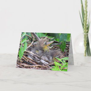 Carte Tri couleur Heron Chick