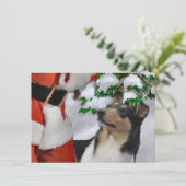 Carte Tri Smooth Collie et Père Noël Christmas Card (Debout devant)