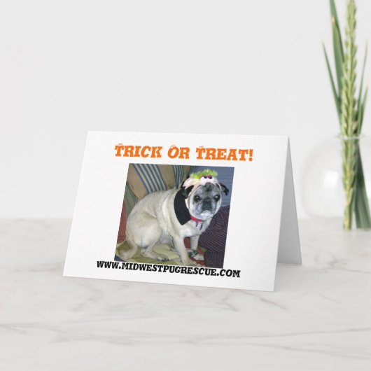 Carte Trick Or Treat!, www.midwestpu... (Devant)