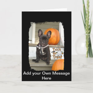 Carte Trick ou Treat Pup