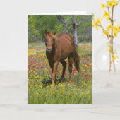 Carte Trimestre Cheval en Champ de Fleur sauvage (Fleur jaune)