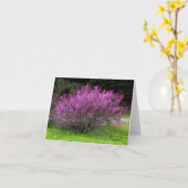 Carte Trinity County Red Bud tree...... (Fleur jaune)