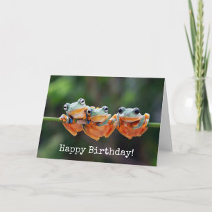 Carte Trio de grenouilles d'arbre - Anniversaire