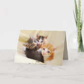 Carte Trio de joyeux anniversaire de petite-fille des (Dos)