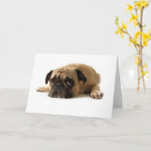 Carte Triste Carlin (Fleur jaune)