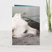 Carte Triste Chien avec papa Désolé pour la perte de sym (Dos)