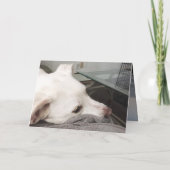 Carte Triste chien chiot blanc mou Désolé pour la perte  (Dos)