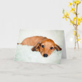 Carte Triste Chiot Qui Vous Manque (Fleur jaune)