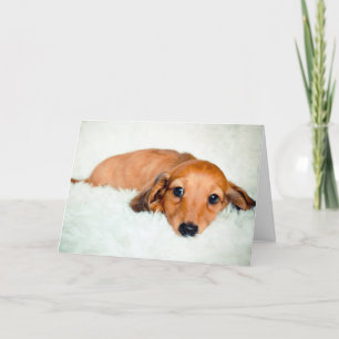 Carte Triste Chiot Qui Vous Manque