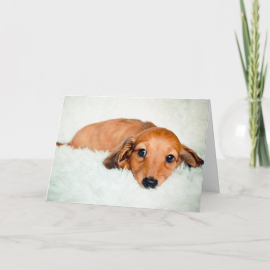 Carte Triste Chiot Qui Vous Manque (Devant)