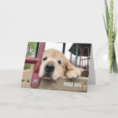 Carte Triste Golden Retriever Dog Miss You (Devant)
