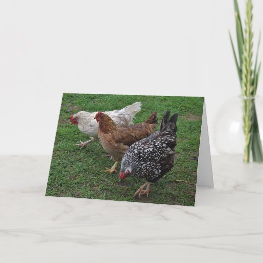 Carte Trois Amigos (Devant)