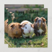 Carte Trois bébés cochons de Guinée, (Devant / Derrière)