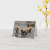 Carte Trois bébés ours (Fleur jaune)