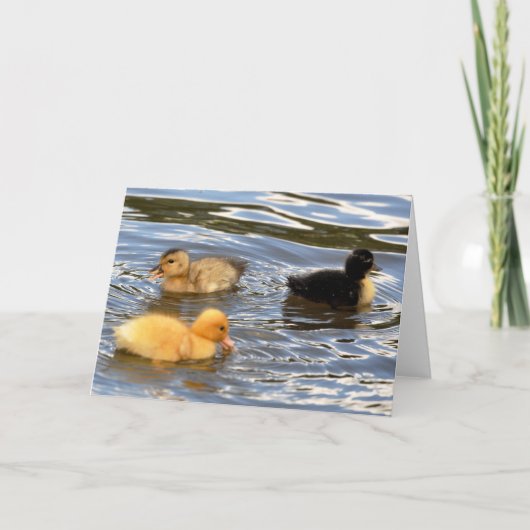 Carte Trois canetons colorés (Devant)