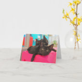 Carte Trois chatons noirs (Fleur jaune)