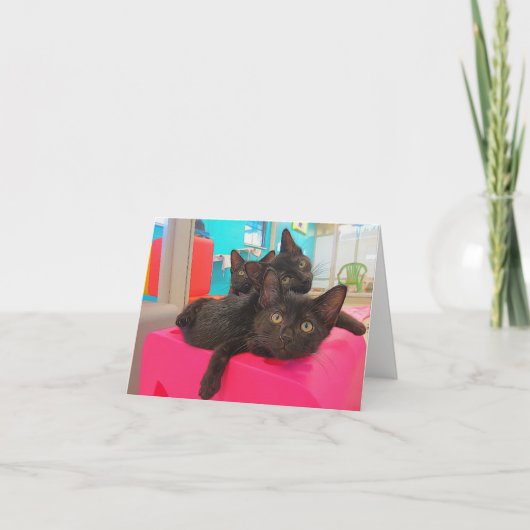 Carte Trois chatons noirs (Devant)