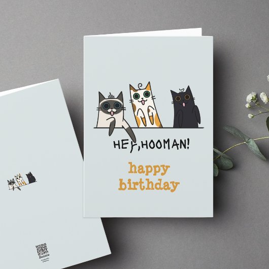 Carte Trois Chats Hey Hooman Funny Anniversaire
