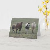 Carte Trois chevaux et un poney (Fleur jaune)