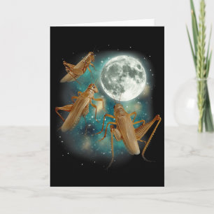 Carte Trois Criquets Lune 3 Insecte Hurlement Meme Magie