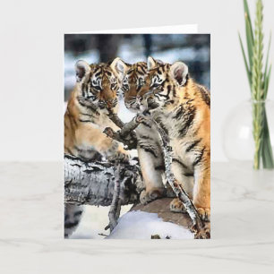 Carte Trois Cubes De Tigre En Cadeaux D'Art De La Neige