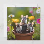 Carte Trois Mètres Dans Des Pots À Fleurs, (Dos)