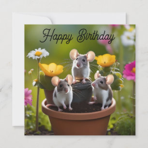 Carte Trois Mètres Dans Des Pots À Fleurs,