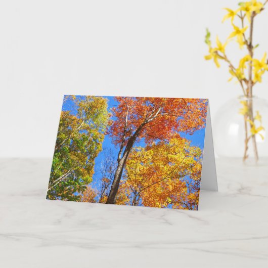 Carte Trois nuances d'érables colorés (Fleur jaune)